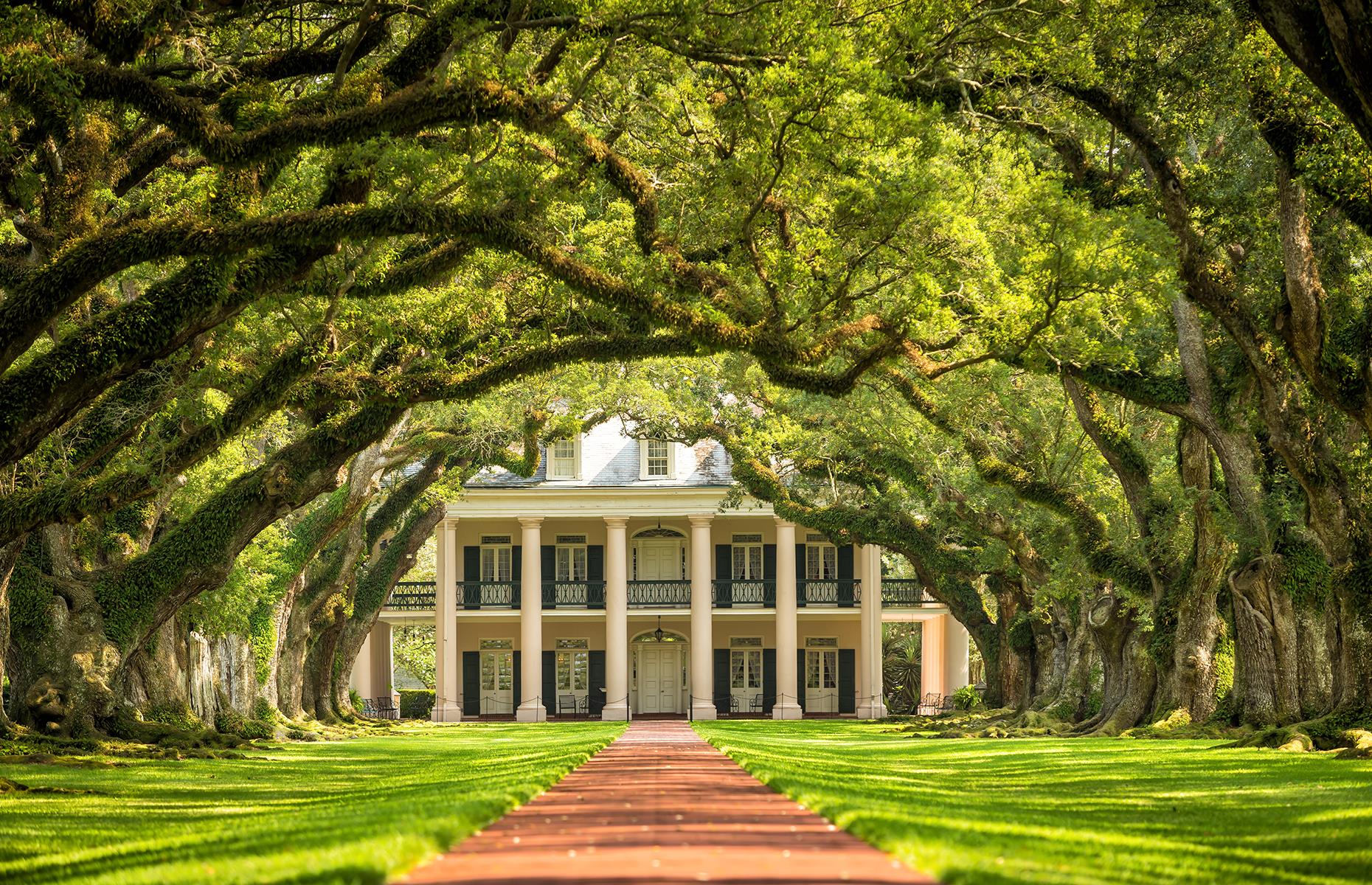 Oak Alley Plantation, Louisiana, USA: Interview with the Vampire (1994)